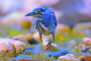 2022年卡塔尔世界杯亚洲区预选赛直播在线观看指南世界杯亚洲区预选赛直播在线观看