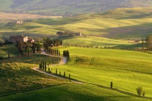 2026年世界杯亚洲区预选赛晋级规则解析世界杯亚洲区预选赛晋级规则